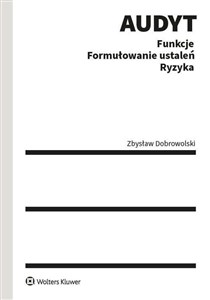 Bild von Audyt Funkcje Formułowanie ustaleń Ryzyka