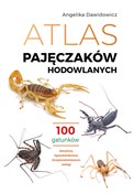 Atlas paję... - Angelika Dawidowicz -  polnische Bücher