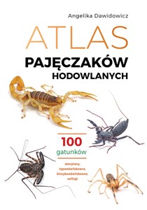 Bild von Atlas pajęczaków hodowlanych. 100 gatunków