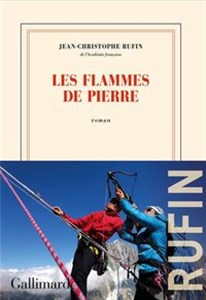 Bild von Flammes de pierre literatura francuska
