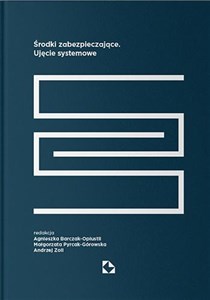 Obrazek Środki zabezpieczające. Ujęcie systemowe