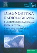 Diagnostyk... - Kevin J. Kealy, Hester McAllister -  polnische Bücher