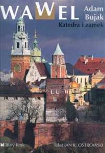 Obrazek Wawel katedra i zamek