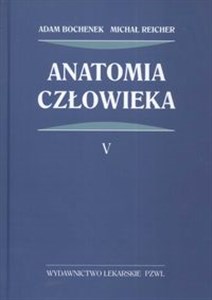 Obrazek Anatomia człowieka Tom 5