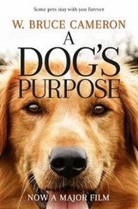 Obrazek A Dog's Purpose