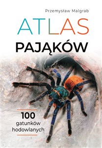 Bild von Atlas pająków