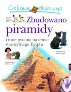 Bild von Ciekawe dlaczego Zbudowano piramidy i inne pytania na temat starożytnego Egiptu