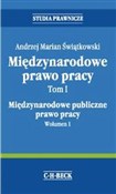 Międzynaro... - Andrzej Marian Świątkowski -  Polnische Buchandlung 