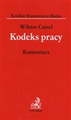 Kodeks pra... - Wiktor Cajsel -  Książka z wysyłką do Niemiec 