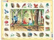 Las -  polnische Bücher