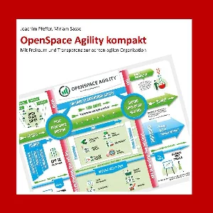 Obrazek PFEFFER, J: OPENSPACE AGILITY KOMPAKT