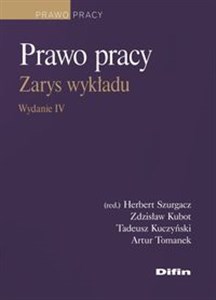 Obrazek Prawo pracy Zarys wykładu