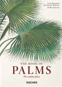 Obrazek Martius. The Book of Palms. 40th Ed.