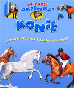 Bild von Konie Co kryją okienka? Otwieraj okienka i dowiedz się więcej