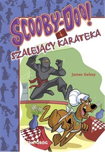 Obrazek Scooby-Doo! i szalejący karateka