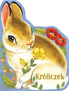 Obrazek Kroliczek