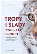Polnische buch : Tropy i śl... - Joscha Grolms