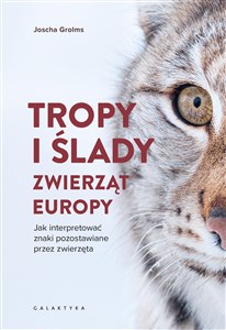 Bild von Tropy i ślady zwierząt Europy Jak interpretować znaki pozostawiane przez zwierzęta