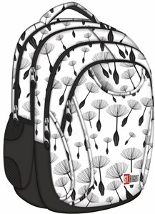 Bild von Plecak 4-komorowy St.Right Dmuchawce