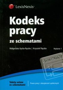 Obrazek Kodeks pracy ze schematami Prawo pracy i ubezpieczeń społecznych