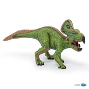 Polnische buch : Protocerat...