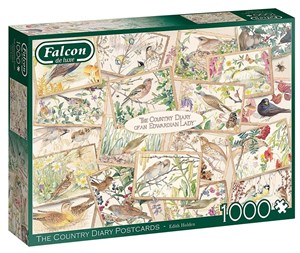 Bild von Puzzle 1000 Falcon Pocztówki z ptakami G3