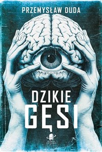 Bild von Dzikie gęsi