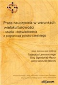 Książka : Praca nauc... - red. Tadeusz Lewowicki, Alina Szczurek-Borut