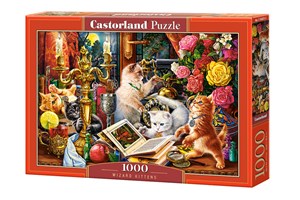 Obrazek Puzzle Wizard Kittens 1000 C-104857-2