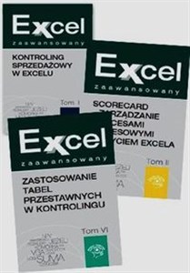 Obrazek Pakiet Menenedżera Kontroling sprzedażowy w Excelu / Zastosowanie tabel przestawnych w kontrolingu / ScoreCard zarządzanie procesami biznesowymi z użyciem Excela Pakiet