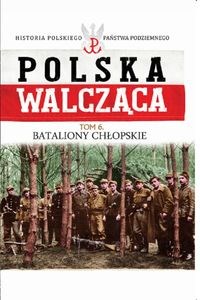 Bild von Bataliony Chłopskie