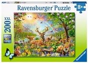 Puzzle dla... -  polnische Bücher