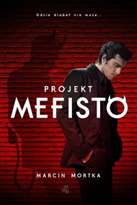 Bild von Projekt Mefisto