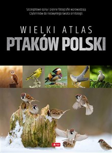 Bild von Wielki atlas ptaków Polski