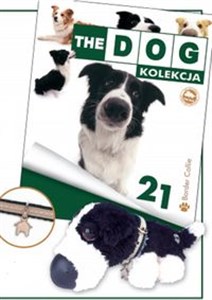 Obrazek Dog Kolekcja 21 Border Collie