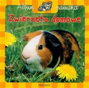 Bild von Zwierzęta domowe