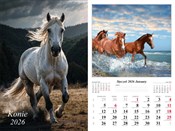 Kalendarz ... -  Książka z wysyłką do Niemiec 