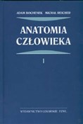 Anatomia c... - Adam Bochenek, Michał Reicher - buch auf polnisch 