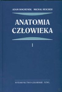 Obrazek Anatomia człowieka t.1