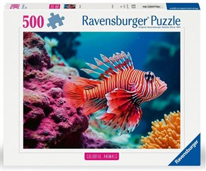Bild von Puzzle 500 Ryba