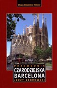 Polska książka : Czarodziej... - Jerzy Żebrowski