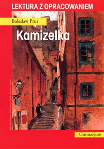 Obrazek Kamizelka. Lektura z opracowaniem