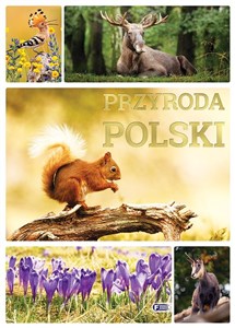 Bild von Przyroda Polski