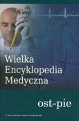 Wielka Enc... - buch auf polnisch 