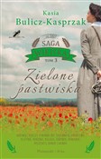 Polska książka : Zielone pa... - Kasia Bulicz-Kasprzak