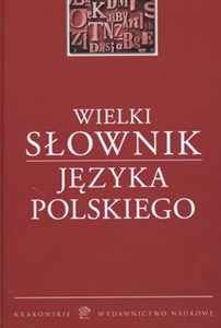 Bild von Wielki słownik języka polskiego
