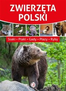 Obrazek Zwierzęta Polski