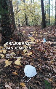 Obrazek Krajobrazy pandemiczne