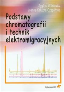 Bild von Podstawy chromatografii i technik elektromigracyjnych