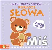 Książka : Nauka z gr... - Opracowanie Zbiorowe